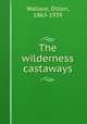The wilderness castaways, Wallace, Dillon, 1863-1939 
