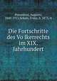 Die Fortschritte des Vo?lkerrechts im XIX. Jahrhundert, Pierantoni, Augusto, 1840-1911,Scholz, Franz, b. 1873, tr 