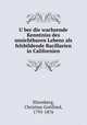 U?ber die wachsende Kenntniss des unsichtbaren Lebens als felsbildende Bacillarien in Californien, Ehrenberg, Christian Gottfried, 1795-1876 
