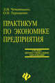 Практикум по экономике предприятия: учебное пособие, Чечевицына Людмила Николаевна, Терещенко Олеся Николаевна 