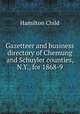 Gazetteer and business directory of Chemung and Schuyler counties, N.Y., for 1868-9, Child, Hamilton, b. 1836 