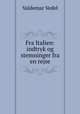 Fra Italien: indtryk og stemninger fra en rejse, Valdemar Vedel 