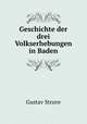 Geschichte der drei Volkserhebungen in Baden, Gustav Struve 