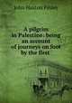 A pilgrim in Palestine: being an account of journeys on foot by the first ., John Huston Finley 