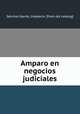 Amparo en negocios judiciales, Sa?nchez Gavito 
