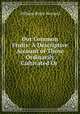 Our Common Fruits: A Descriptive Account of Those Ordinarily Cultivated Or ., William Bayle Bernard 