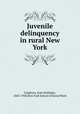 Juvenile delinquency in rural New York, Claghorn, Kate Holladay, 1863-1938,New York School of Social Work 