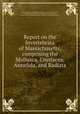 Report on the Invertebrata of Massachusetts, comprising the Mollusca, Crustacea, Annelida, and Radiata, Gould, Augustus A. (Augustus Addison), 1805-1866,Storm, G. F., engraver,Torbett, Charles W., engraver,Navarro, Manuel, former owner. DSI,Massachusetts. Zoological and Botanical Survey 