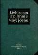 Light upon a pilgrim