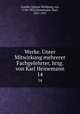 Werke. Unter Mitwirkung mehrerer Fachgelehrter, hrsg. von Karl Heinemann. 14, Goethe, Johann Wolfgang von, 1749-1832,Heinemann, Karl, 1857-1927 