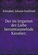 Der im Irrgarten der Liebe herumtaumelnde Kavalier;, Schnabel, Johann Gottfried 