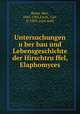 Untersuchungen u?ber bau und Lebensgeschichte der Hirschtru?ffel, Elaphomyces, Reess, Max, 1845-1901,Fisch, Carl, b. 1859, joint auth 