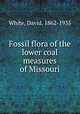 Fossil flora of the lower coal measures of Missouri, White, David, 1862-1935 