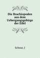 Die Brachiopoden aus dem Uebergangsgebirge der Eifel, J. Schnur 