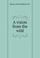 A vision from the wild, Webster, John Windfield, 1847- 