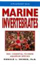 Marine Invertebrates: 500+ Essential-To-Know Aquarium Species, 