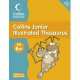 Collins Junior Illustrated Thesaurus 6+, Goldsmith, Evelyn 