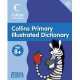 Collins Primary Illustrated Dict 8+, Lapage, Ginny 