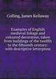 Examples of English medieval foliage and coloured decoration, taken from buildings of the twelfth to the fifteenth century: with descriptive letterpress, Colling, James Kellaway 