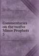 Commentaries on the twelve Minor Prophets, Calvin Jean 