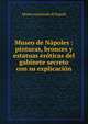 Museo de N?poles : pinturas, bronces y estatuas er?ticas del gabinete secreto con su explicaci?n, Museo nazionale di Napoli 