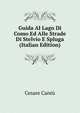 Guida Al Lago Di Como Ed Alle Strade Di Stelvio E Spluga (Italian Edition), Cesare Cantu 