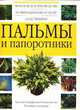 Пальмы и папоротники, 