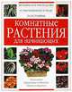 Комнатные растения для начинающих, 