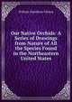 Our Native Orchids: A Series of Drawings from Nature of All the Species Found in the Northeastern United States, William Hamilton Gibson 