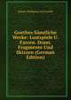 Goethes Samtliche Werke: Lustspiele U. Farcen. Dram. Fragmente Und Skizzen (German Edition), Johann Wolfgang von Goethe 
