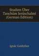 Studien Uber Tanchum Jeruschalmi (German Edition), Ignac Goldziher 