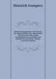 Weltanschauungslehre: Ein Versuch Die Hauptprobleme Der Allgemeinen Theoretischen Philosophie Geschichtlich Zu Entwickeln Und Sachlich Zu Bearbeiten, Volume 2 (German Edition), Heinrich Gomperz 