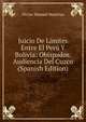 Juicio De Limites Entre El Peru Y Bolivia: Obispados. Audiencia Del Cuzco (Spanish Edition), Victor Manuel Maurtua 