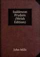 Iuddewon Prydain (Welsh Edition), John Mills 