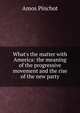 What's the matter with America: the meaning of the progressive movement and the rise of the new party, Amos Pinchot 