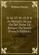 St M-3T W: I3 N R' In Hieratic Script Ou Set Dans La Barque Du Soleil (French Edition), Willem Pleyte 