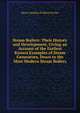Steam Boilers: Their History and Development, Giving an Account of the Earliest Known Examples of Steam Generators, Down to the Most Modern Steam Boilers, Henry Handley Pridham Powles 