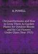 Chrysanthemums and How to Grow Them As Garden Plants for Outdoor Bloom and for Cut Flowers Under Glass (Year 1913), IL POWELL 