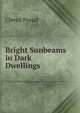 Bright Sunbeams in Dark Dwellings, Clerus Pseud 