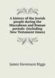 A history of the Jewish people during the Maccabean and Roman periods: (including New Testament times), James Stevenson Riggs 