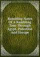 Rambling Notes Of A Rambling Tour Through Egypt, Palestine And Europe, 