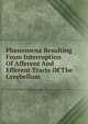 Phenomena Resulting From Interruption Of Afferent And Efferent Tracts Of The Cerebellum, 