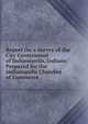 Report On a Survey of the City Government of Indianapolis, Indiana: Prepared for the Indianapolis Chamber of Commerce, 