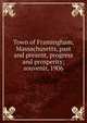 Town of Framingham, Massachusetts, past and present, progress and prosperity; souvenir, 1906, 