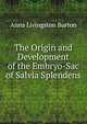The Origin and Development of the Embryo-Sac of Salvia Splendens, Anna Livingston Burton 