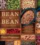 Bean Trees, The, Kingsolver, Barbara 