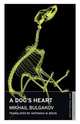 Dog's Heart, Bulgakov Mikhail 