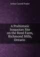 A Prehistoric Iroquoian Site on the Reed Farm, Richmond Mills, Ontario ., Arthur Caswell Parker 