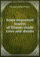 Some important insects of Illinois shade trees and shrubs, Forbes Stephen Alfred 