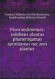 Flora sedimensis: exhibens plantas phanerogamas spontaneas nec non plantas ., Friedrich Wilhelm Gottlieb Rostkovius, Ewald Ludwig Wilhelm Schmidt 